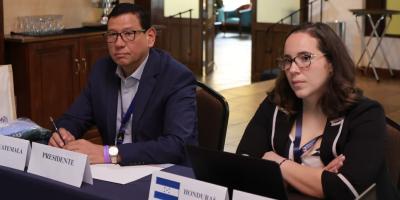 Mesas técnicas del OIRSA analizan medidas para prevenir y atender riesgos del sector agropecuario regional