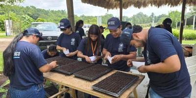 Jóvenes del Servicio Cívico aprenden en Petén la producción de pilones de hortalizas