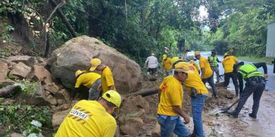 Retiran derrumbe y árbol caído en la CA-9 Norte, en Izabal