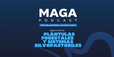 MAGA Podcast en Spotify | Plántulas forestales y sistemas silvopastoriles