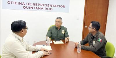 nota de prensa