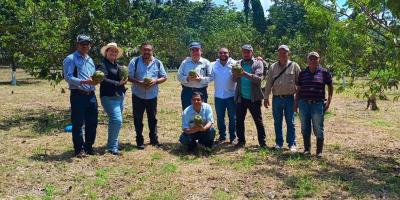 Intercambio de experiencias en manejo frutícola impulsa aprendizaje en Quetzaltenango