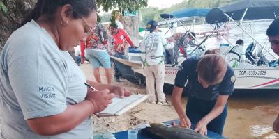 Torneo de pesca aporta datos para conocer mejor del róbalo en Petén