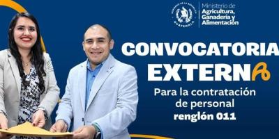 Convocatoria externa del renglón 011: último día para postularse