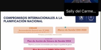 Diálogo Regional “Implementación del Plan de Acción de Género de Sendai: Hacia la resiliencia inclusiva en las Américas y el Caribe”