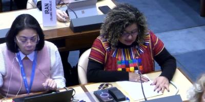 Dra. Zulma Calderón, Titular de SOSEP, durante su participación en el segundo período de sesiones del Grupo de Trabajo Intergubernamental sobre los Derechos Humanos de las Personas Mayores en Ginebra Suiza.