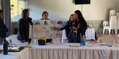 Sistema CONRED