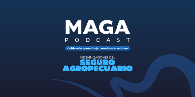 MAGA Podcast en Youtube | Indemnizaciones del Seguro Agropecuario