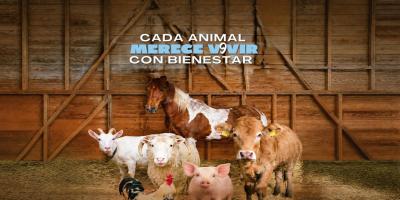 2 de octubre | Día Mundial de los Animales de Granja 