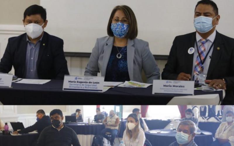 Secretaría de Seguridad Alimentaria y Nutricional 