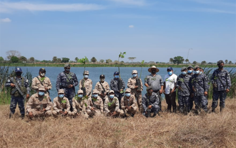 marn y ejercito