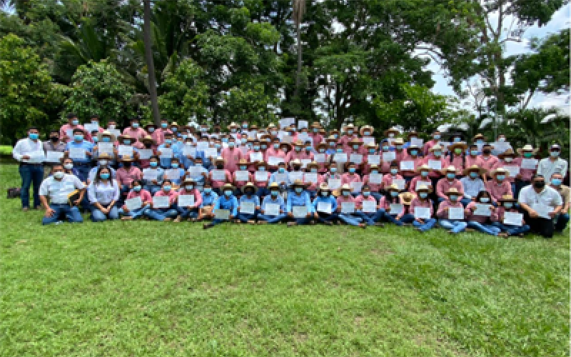 grupo voluntarios