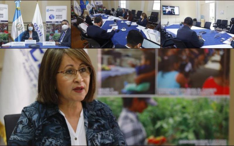 Secretaría de Seguridad Alimentaria y Nutricional 