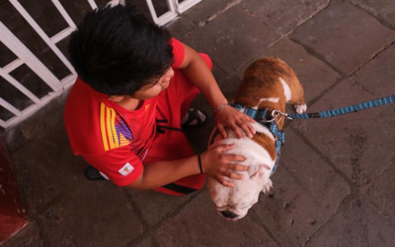 Acariciar a un perro es una terapia de relajamiento