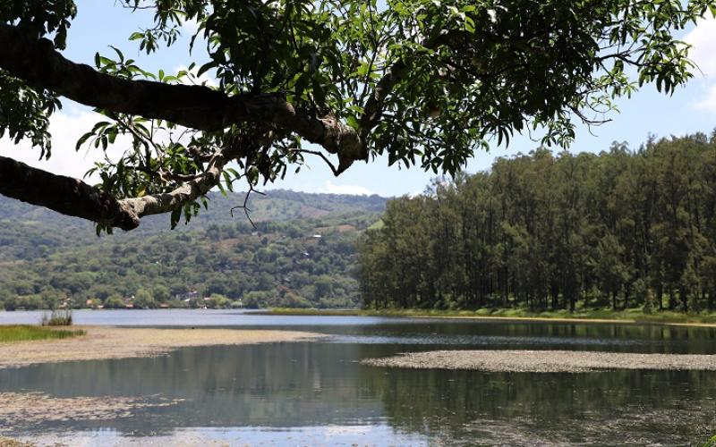 Restauración de paisajes en Guatemala