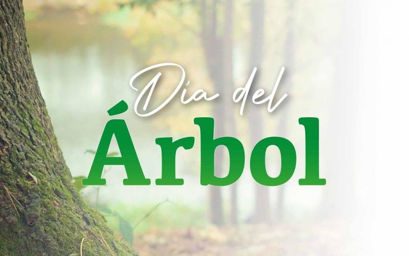arboles, bosque