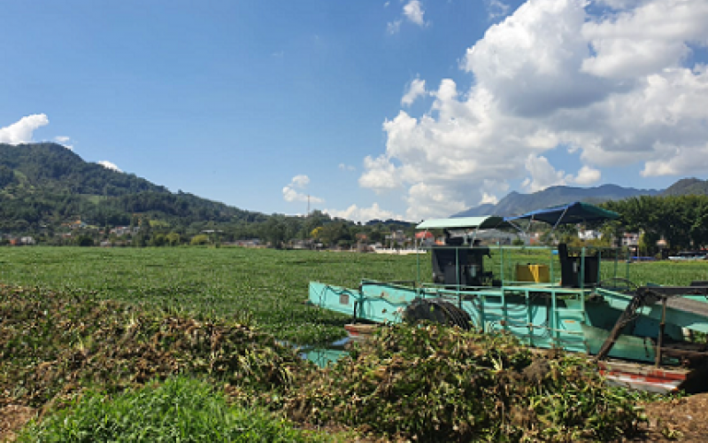 Limpieza de la Laguna Chichoj