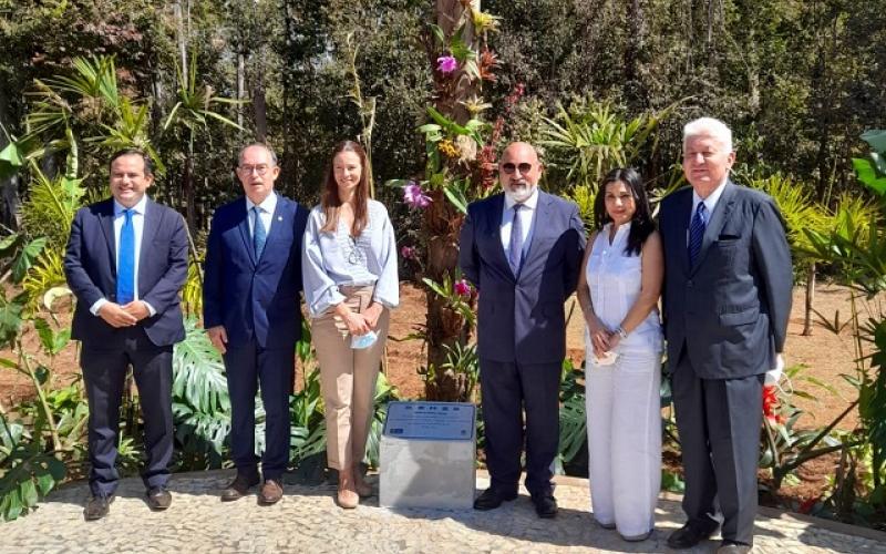 Área dedicada a Centroamérica en el Jardín Botánico de Brasilia