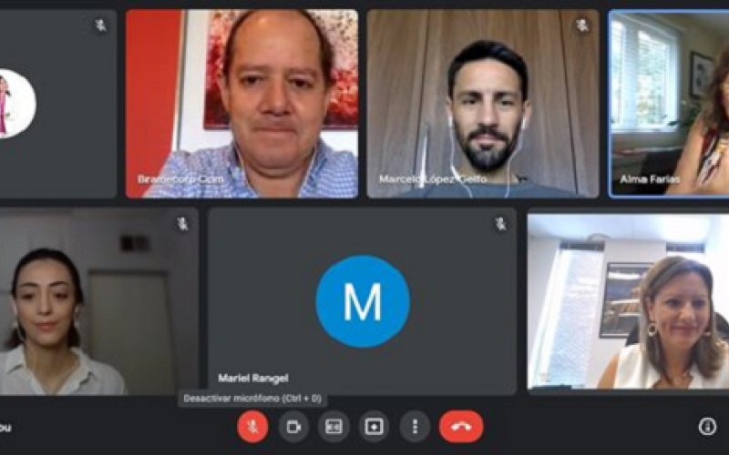 Reunión virtual