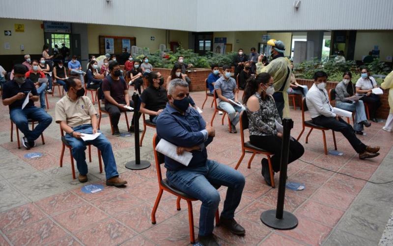 Docentes
