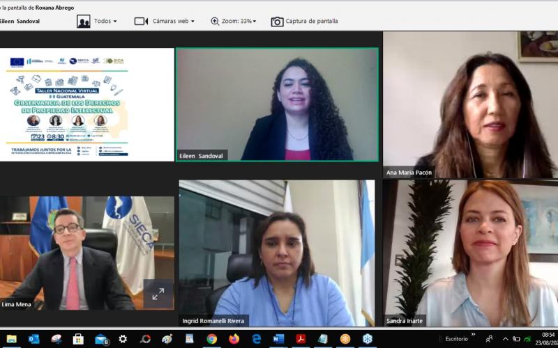 El Primer Taller Nacional Sobre la Observancia de los Derechos de Propiedad  Intelectual se llevó a cabo en un formato virtual.
