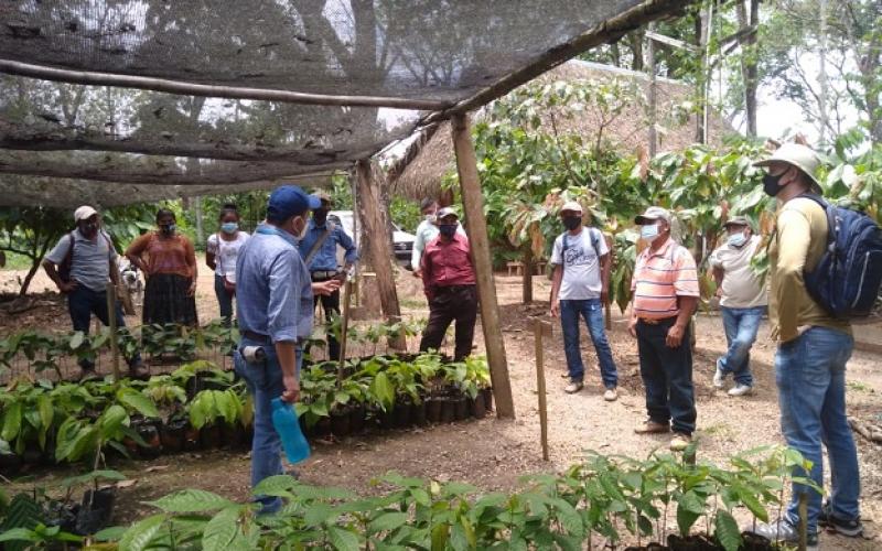 Presentación de Proyecto “Manejo de Bosques Naturales con fines de producción” aprobado el título