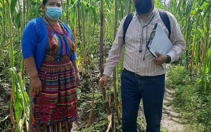 FONTIERRAS continúa beneficiando a familias campesinas