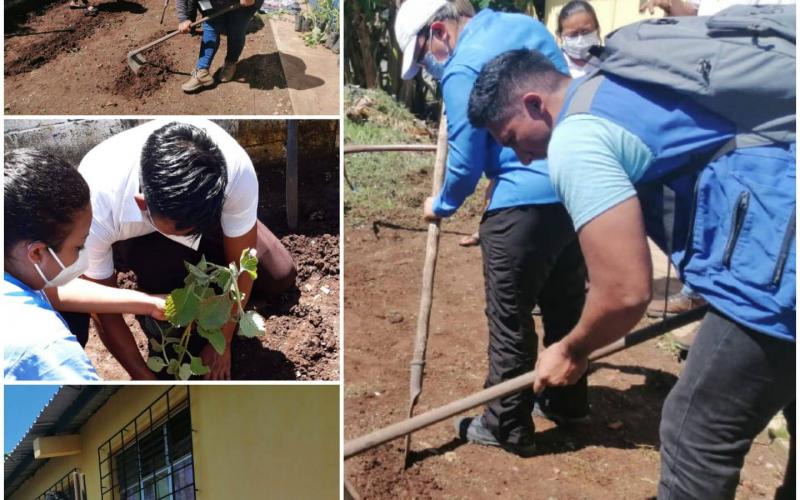 Personal de Mides y Comusan trabajando huerto medicinal en Santa Lucía Cotzumalguapa