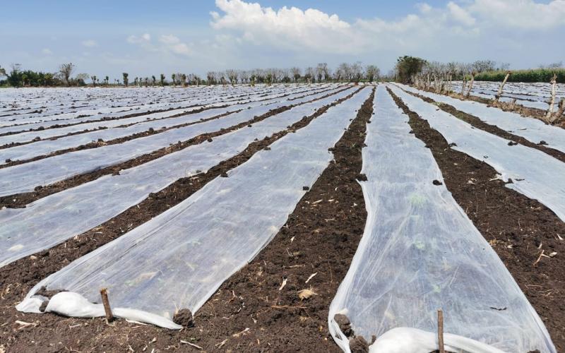 FONTIERRAS asesora a beneficiarios