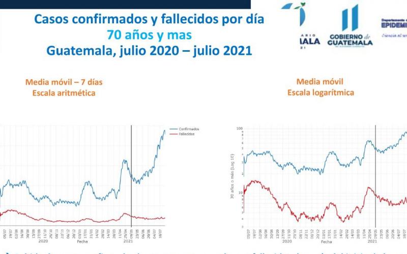 Grafica