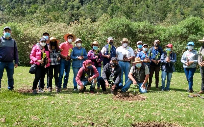 Jornada de reforestación en Chimaltenango.