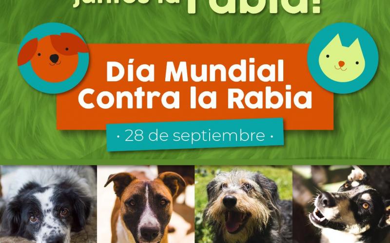 Rabia