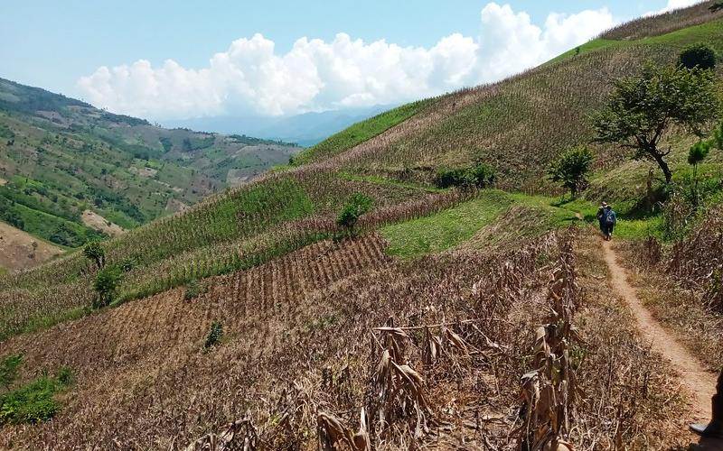 Personal de FONTIERRAS realiza verificaciones