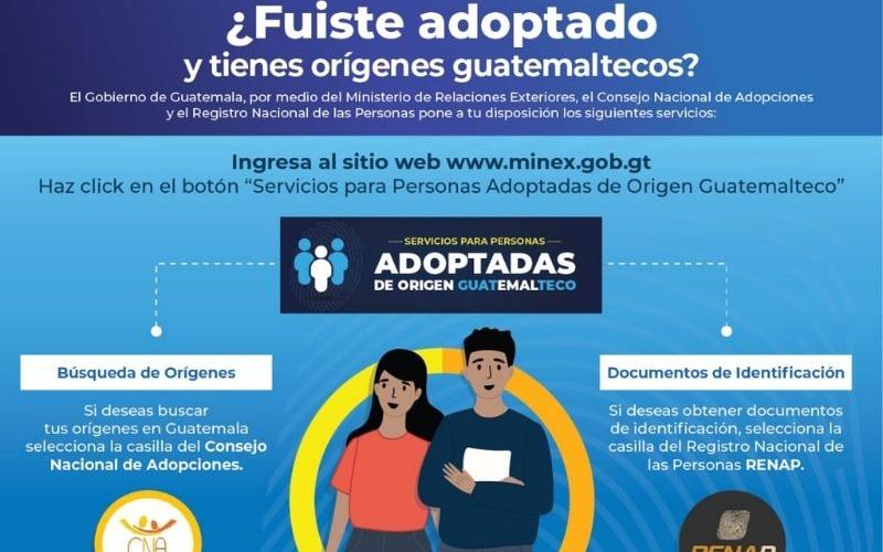 Infografía del Minex
