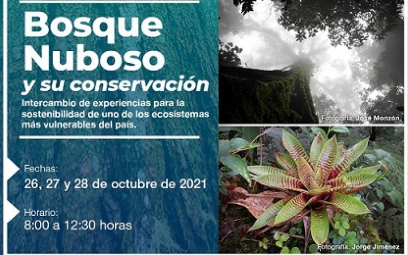 Bosque nuboso