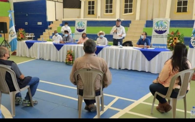 MAGA impulsa la agrocadena de la rosa de jamaica 