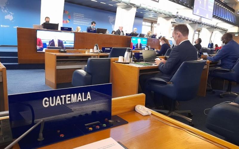 Actividad de la FAO