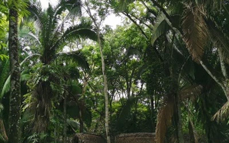 sur del peten