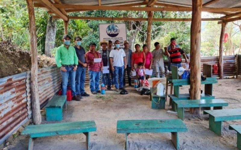 Productores de café reciben capacitación para evitar plagas y enfermedades