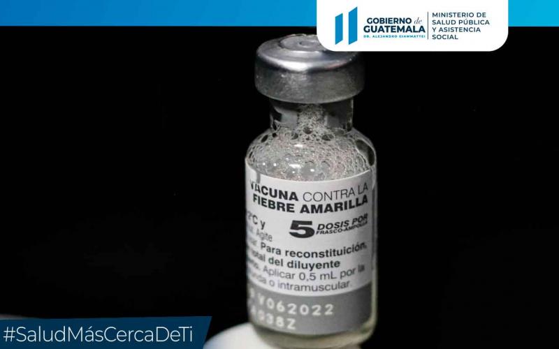 Fiebre amarilla 