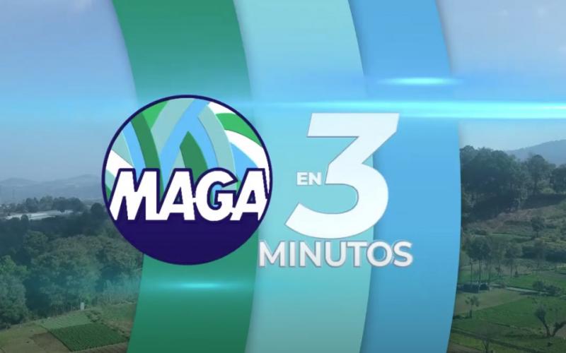 MAGA en 3 Minutos