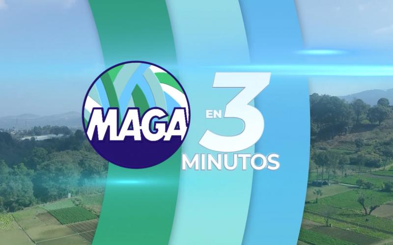 MAGA en 3 Minutos