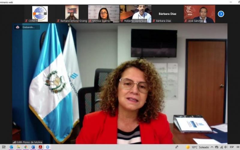 La Viceministra de Integración y Comercio Exterior, Edith Flores de Molina, participó en la reunión virtual.