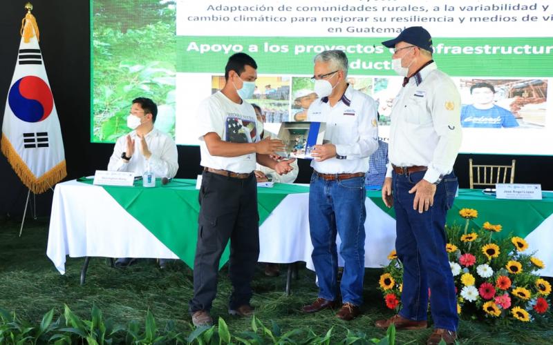 Impulso al desarrollo agroforestal en las Verapaces