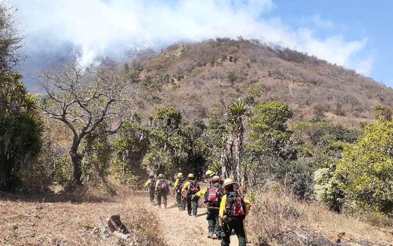 Brigada de Respuesta a Incendios Forestales –BRIF/GUA- de la CONRED se moviliza a un incendio ubicado en el departamento de Guatemala.
