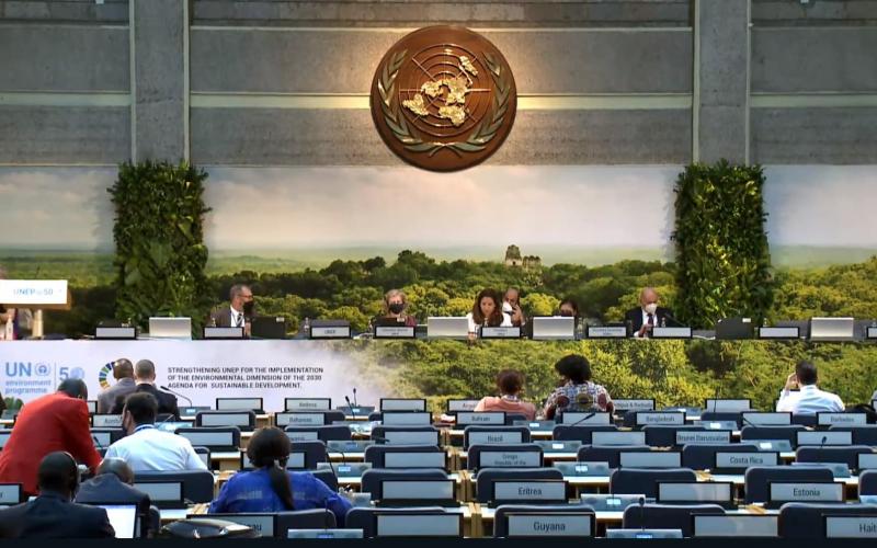 MARN presente en Asamblea de Naciones Unidas sobre Medio Ambiente