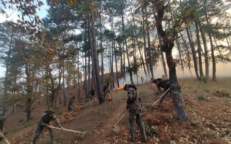 Ejército de Guatemala apoyó sofocamiento de incendios forestales en el departamento de Guatemala y Huehuetenango