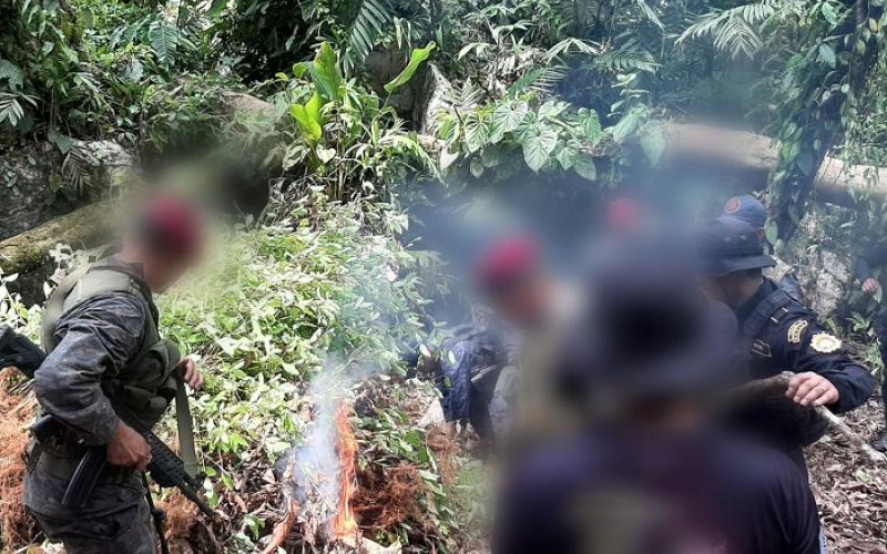 Ejército de Guatemala realiza operaciones de reconocimiento, búsqueda y rastreo de ilícitos al norte de la República.