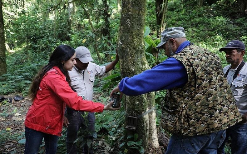 Proyecto en la cadena volcánica registra con éxito 119 especies de aves, y anfibios y mamíferos en extinción