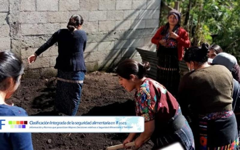 Secretaría de Seguridad Alimentaria y Nutricional 